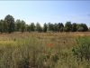 /photos/44010.jpg?w=640&h=480