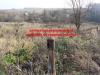/photos/44137.jpg?w=640&h=480
