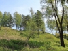 /photos/44141.jpg?w=640&h=480