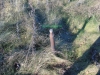 /photos/44591.jpg?w=640&h=480