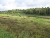/photos/45220.jpg?w=640&h=480
