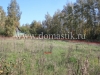 /photos/45335.jpg?w=640&h=480