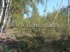 /photos/45336.jpg?w=640&h=480