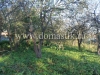 /photos/45372.jpg?w=640&h=480