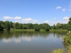 /photos/45389.jpg?w=640&h=480