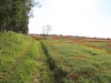 /photos/45398.jpg?w=640&h=480