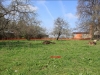 /photos/45451.jpg?w=640&h=480