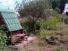 /photos/45970.jpg?w=640&h=480