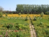 /photos/46294.jpg?w=640&h=480