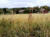 /photos/47061.jpg?w=640&h=480