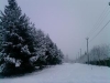 /photos/47688.jpg?w=640&h=480