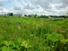 /photos/47827.jpg?w=640&h=480