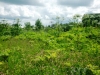 /photos/47828.jpg?w=640&h=480
