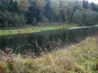 /photos/47879.jpg?w=640&h=480