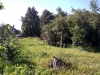 /photos/48218.jpg?w=640&h=480