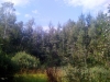 /photos/49343.jpg?w=640&h=480