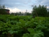 /photos/49548.jpg?w=640&h=480