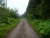 /photos/49549.jpg?w=640&h=480