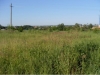 /photos/49826.jpg?w=640&h=480