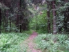 /photos/50759.jpg?w=640&h=480