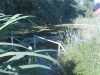 /photos/50825.jpg?w=640&h=480