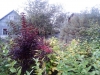 /photos/51387.jpg?w=640&h=480