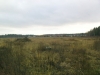 /photos/51706.jpg?w=640&h=480