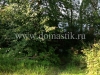 /photos/51781.jpg?w=640&h=480