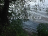 /photos/51782.jpg?w=640&h=480