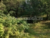 /photos/51784.jpg?w=640&h=480