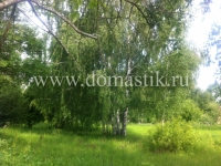 /photos/51955.jpg?w=640&h=480