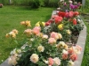 /photos/52059.jpg?w=640&h=480