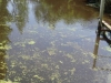 /photos/52064.jpg?w=640&h=480