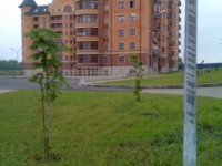 /photos/52126.jpg?w=640&h=480