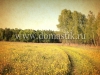 /photos/53064.jpg?w=640&h=480