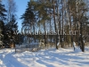 /photos/53066.jpg?w=640&h=480