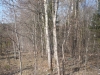 /photos/53196.jpg?w=640&h=480