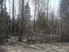 /photos/53198.jpg?w=640&h=480