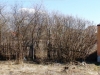 /photos/53202.jpg?w=640&h=480