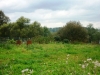 /photos/53926.jpg?w=640&h=480