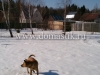 /photos/54322.jpg?w=640&h=480