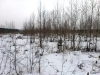 /photos/54414.jpg?w=640&h=480