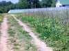 /photos/54587.jpg?w=640&h=480