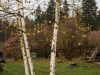 /photos/54703.jpg?w=640&h=480