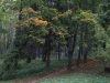 /photos/54705.jpg?w=640&h=480