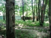 /photos/54707.jpg?w=640&h=480