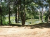 /photos/54708.jpg?w=640&h=480