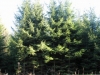 /photos/54736.jpg?w=640&h=480