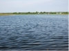 /photos/54737.jpg?w=640&h=480