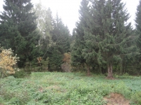/photos/5476.jpg?w=640&h=480